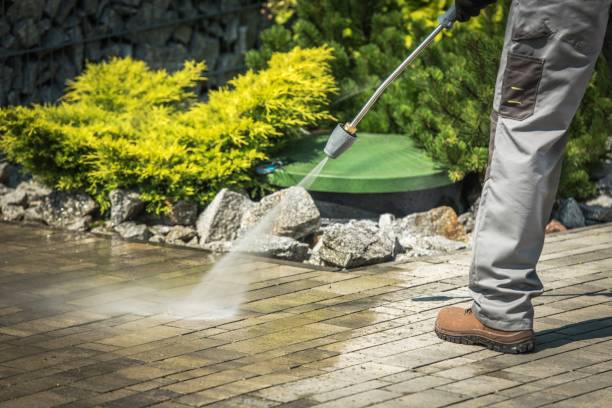 Reliable Zwolle, LA Pressure Washing Solutions